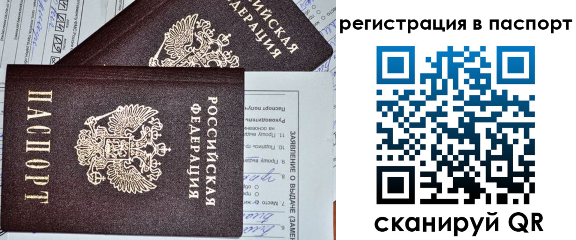 прописка законно в Ясном